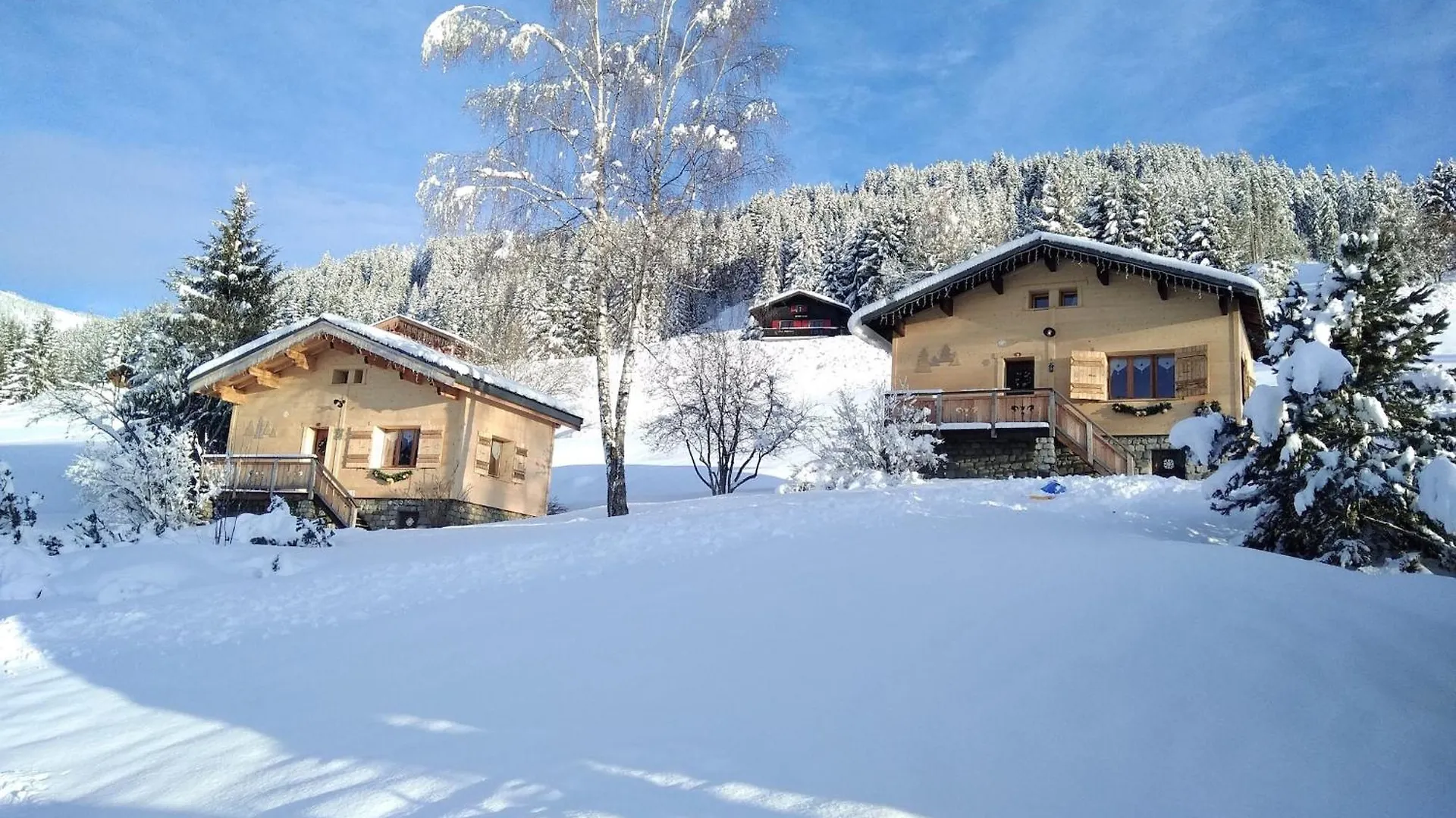 Cosy Chalet With Garden Notre-Dame-de-Bellecombe