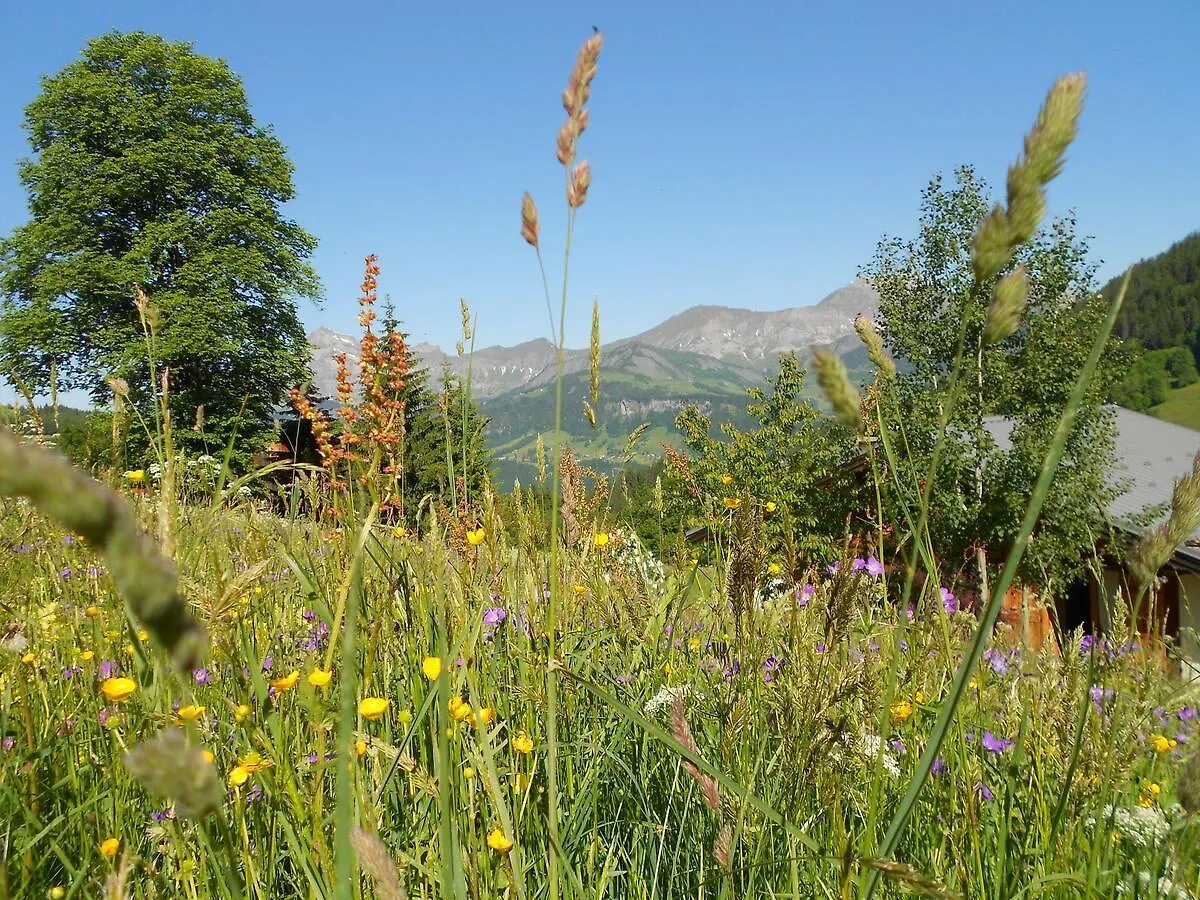 Cosy Chalet With Garden Notre-Dame-de-Bellecombe