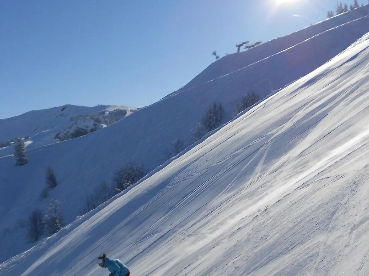 Cosy Chalet With Garden Notre-Dame-de-Bellecombe